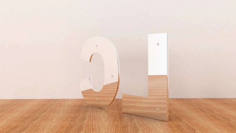 LC-CS01 · Mirror — 13