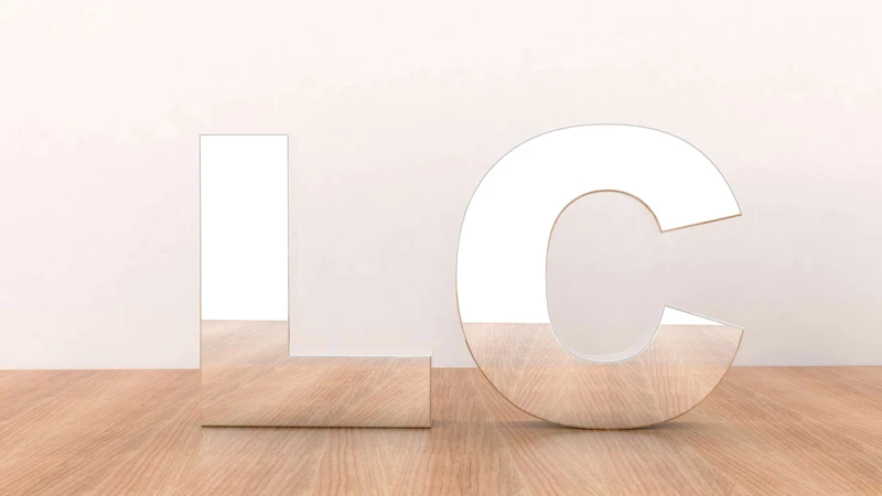 LC-FS01 · Mirror — 30