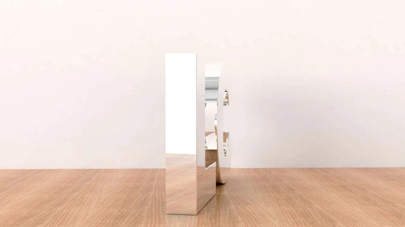 LC-FS01 · Mirror — 12