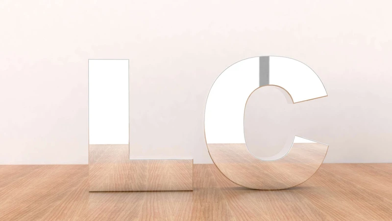 LC-FS01 · Mirror — 02